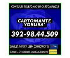 •.¸★¸.••¸★¸.• Cartomante Yoruba' •.¸★¸.••.¸★¸.•