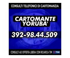 (_¸.•’´*♫♪( Cartomante Yoruba' )♫♪*`’•.¸_)