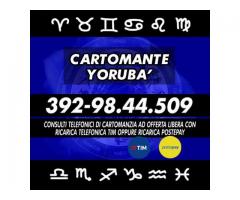 •.¸★¸.••¸★¸.•Yoruba' Cartomante•.¸★¸.••.¸★¸.•