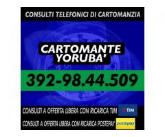 (¯`’•.¸*♫♪( Cartomante Yoruba' )♫♪*¸.•’´¯)