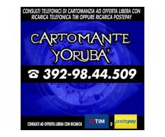 (¯`’•.¸*♫♪( Cartomante Yoruba' )♫♪*¸.•’´¯)