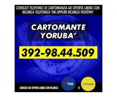 Consulti telefonici Ⓒⓐⓡⓣⓞⓜⓐⓝⓣⓔ Ⓨⓞⓡⓤⓑⓐ'