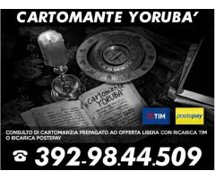 Consulti telefonici Ⓒⓐⓡⓣⓞⓜⓐⓝⓣⓔ Ⓨⓞⓡⓤⓑⓐ'