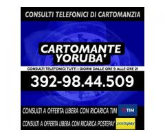 '•.¸(¯`'•.¸*♥♥♥♥ Cartomante Yoruba' ♥♥♥♥*¸.•'´¯)¸.•'