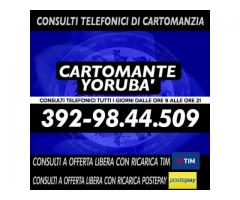 '•.¸(¯`'•.¸*♥♥♥♥ Cartomante Yoruba' ♥♥♥♥*¸.•'´¯)¸.•'