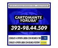 ★★★★★Consulto di Cartomanzia a offerta libera★★★★★