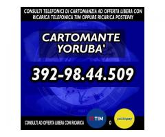 '•.¸(¯`'•.¸*♥♥♥♥ Cartomante Yoruba' ♥♥♥♥*¸.•'´¯)¸.•'