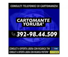 (¯`·._(¯`·._(Cartomante Yoruba')_.·´¯)_.·´¯)