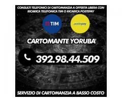 (¯`·._(¯`·._(Cartomante Yoruba')_.·´¯)_.·´¯)